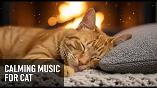12 Hours of Relaxing Music for Stressed Cats : Calming Sounds for Anxiety & Better Sleep 😽😻😌
