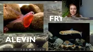ERC Spring Exploration Series with Idaho Conservation League: Salmon