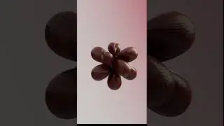 Inflated Organic Geometry