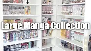My Manga Collection (500+ Volumes)