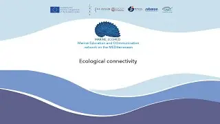 12 - Ecological connectivity