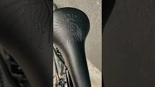 SE BIKES_ LAGER / Black,ElectricBlue,Jet Black,Steel Gray
