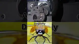 Eyes of a Predator &ndash; Dragonfly vs Apache #eyes #apache #dagon #biomimicry #biography #predator