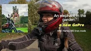 An Elephant in the garden?! A new GoPro AND Harley 883 mods