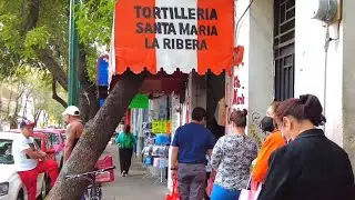TRADITIONAL NEIGHBOURHOOD Santa Maria La Ribera | Walking Tour 4K in Mexico City 🇲🇽 Mexico