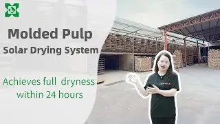 Zero-Electricity Drying: Inside Dongguan Lvxin Packaging's 5 KM Solar-Powered Production Line