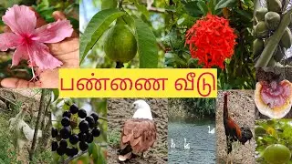 Vichoor Farm House #live with nature #natural bliss //Visit my brother farm house //