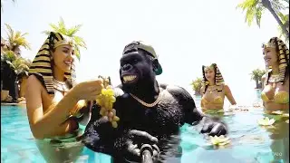 BIGFOOT VLOG &ndash; EGYPT (2500 B.C EDITION) | Fake Vlog Daily
