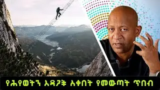 Dr Mehret Debebe - 100 days - 100 wisdom - Day 81 - The Power of Persistence and Grit