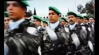 تقديم وتاريخ الجيش البري المغربي