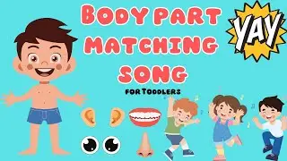 Body parts matching point and touch activity for toddlers inspired by Ms Rachel