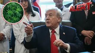 Трамп подписал указ о медицинском применении марихуаны и предостерег от употребления наркотиков в...