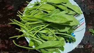 PALAK PANEER RECIPE Easy Restaurant Style Palak Paneer | tasty Spinach Curry Recipe #