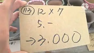 화분판매 전국최저가 폭탄쎄일 010 4499 2456 7만이상 무료배송 5만이상다육친환경영양제써비스 주문은 문자로주세요 