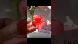 do you want Korean flower clutches for every day party occasion #flowerbeauty #korean #koreancultu