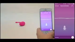Lovense Lush - Remote Control Bullet Vibrator Demo