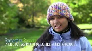 Green Roof Research
