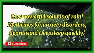 Live powerful sounds of rain! Medicines for anxiety disorders, depression! Deepsleep quickly! 🌧️☔⛈️