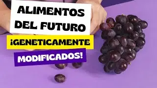 Alimentos transgenicos Ft Fabian park C1