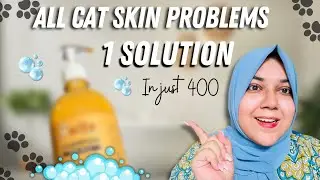 Cat Skin Problems Solved!😱 Milo Pet Shampoo Review | Anti-Dandruff + Anti-Flea + Anti-Tick