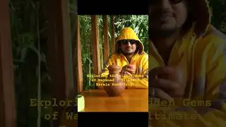 Exploring the Hidden Gems of Wayanad | Ultimate Kerala Road Trip!
