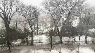 Halifax Public Gardens ~ Snowfall with Relaxing Music