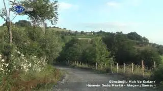 Göncüoğlu Mah Ve Kızlan/Hüseyin Dede Mevkii - Alaçam/Samsun