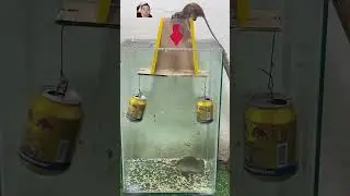 Rat Trap 88, An effective mouse trap #shoprts