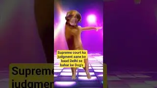 save animals #art #dogs #dog #dance #drawing #comedydance #funny