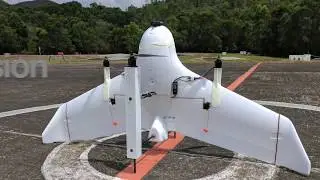 VTOL Tail-sitter UAV of HK PolyU