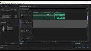 Nat Sound Hunt part 2 editing