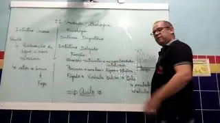 Digestorio parte 3