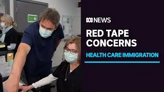 Calls to streamline immigration for health professionals to address 'serious' shortage | ABC News