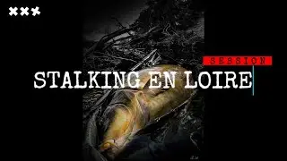 P&ecirc;che de la carpe en Loire en stalking.