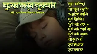 সুন্দর কুরআন তিলাওয়াত - সূরা ফাতিহা, আয়াতুল কুরসী , সূরা ইয়াসিন মূলক রহমান ওয়াকিয়া, ৩০ পারা, তিন কুল