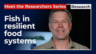 Fish in resilient food systems
