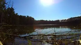 Stillness at Minister Lake - Minimalist Nature Meditation