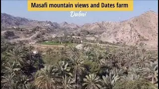 Best Mountain views and Dates farm in Dubai / UAE