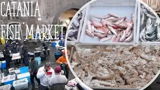Catania Fish Market Tour - Walk Through a Real Sicilian Fresh Mercato Del Pesce