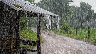 Heavy Rain Sounds 🌧️ | A Comforting Rain Ambience to Help You Drift Into Deep Rest