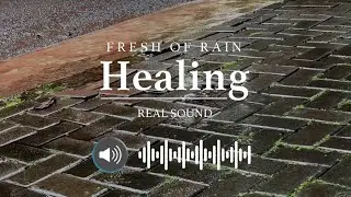 SOUND OF RAIN That are similar to your heart rate