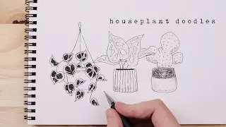 Every Plant You Need To Know | How To Doodle Houseplants
