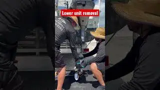 Lower unit removal & water pump rebuild. Keys marine service (786)914-5293 #keylargo #floridakeys