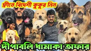 Biggest German Shepherd Kennel in West Bengal । Home Breed Puppies Sell । Dog Market in Kolkata