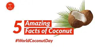 5 Amazing Facts of Coconut 🥥 | World Coconut Day 🌴 | Spice & Stories
