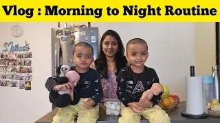 Vlog தமிழில் : Morning to Night Routine with my twins