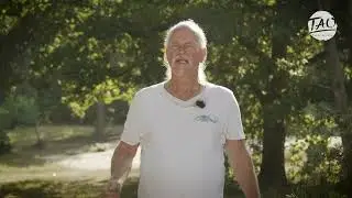 De toon van Taotraining