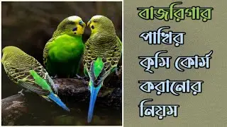 কৃমি কোর্স। Worm Course। #Natural  #medicine
