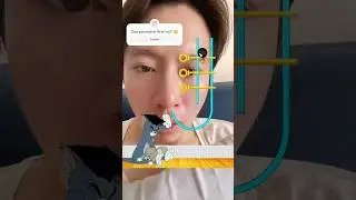 Tom & Jerry: Save Topsy Cat 😳 #shorts #cartoon #tomandjerry #trending #games #gaming #tiktok