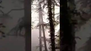 Shimla-Kalka Railway line🤔#shimla #himachal #himachalpradesh #flood #flood2023 #disaster #manali#yt